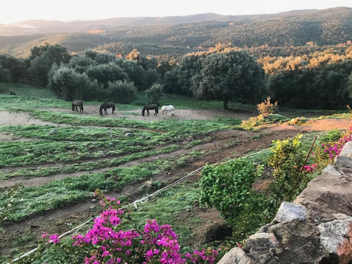 Maimes Hébergement de vacances Agullana